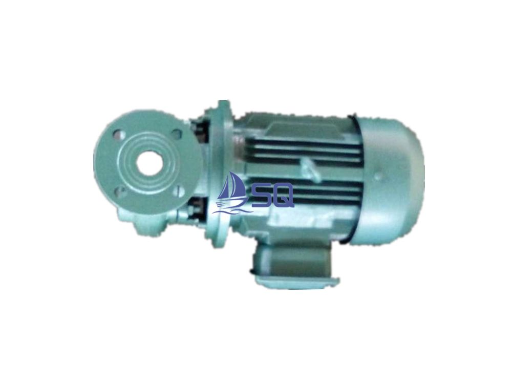 CGW Sewage Pump