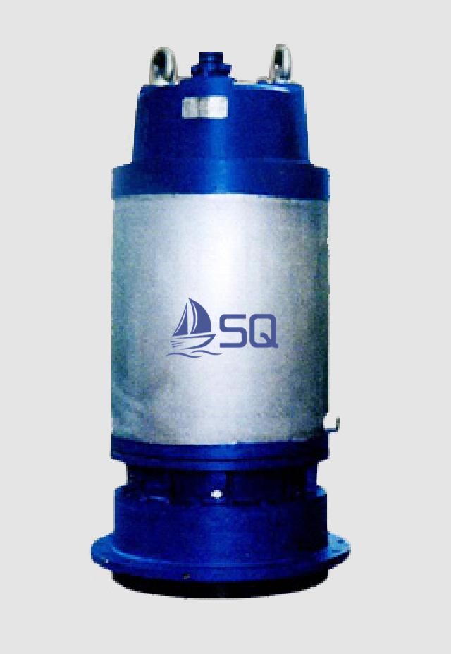 Sewage submersible electric motor