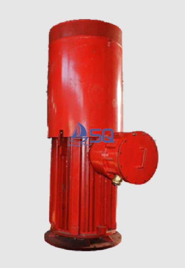 Vertical hollow shaft electric motor