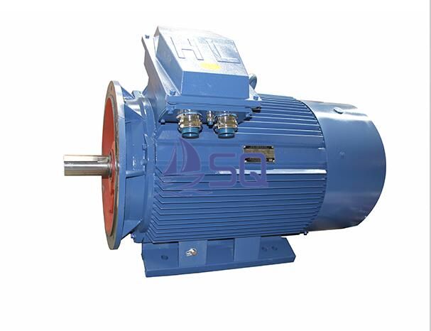 Three Phase Motor