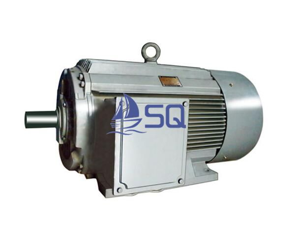 Y H Series Three Phase Marine Motor