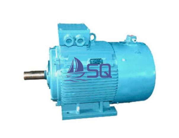 Variable Frequency Adjustable Speed Marine Use Three Phase Induction Motor