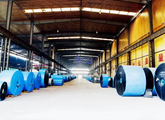 FABRIC CARCASS CONVEYOR BELT