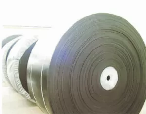 FABRIC CARCASS CONVEYOR BELT