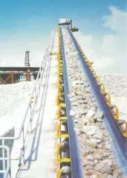COLD RESISTANT CONVEYOR BELT