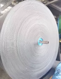 FABRIC CARCASS CONVEYOR BELT