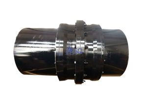 Drum gear coupling